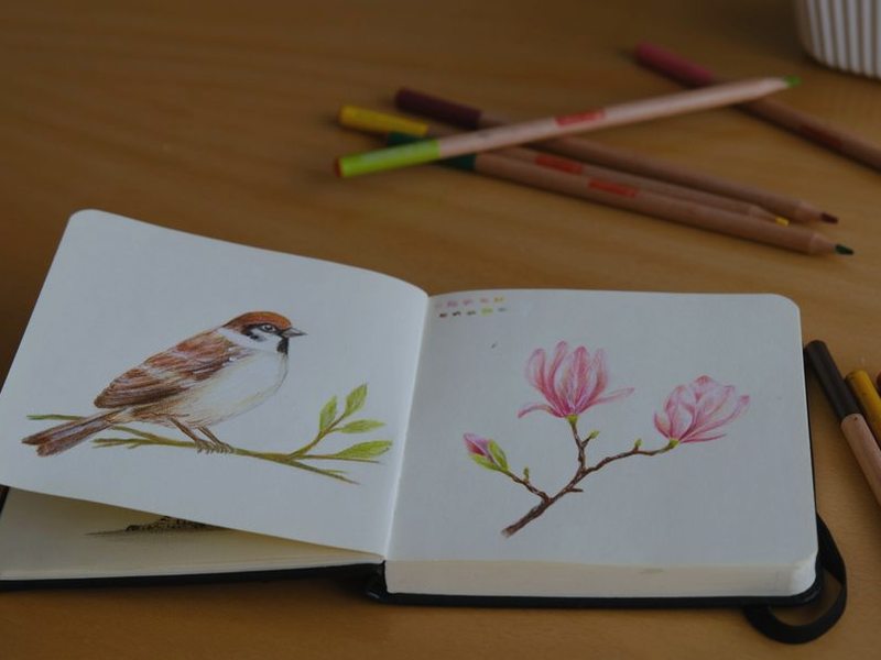 桃花